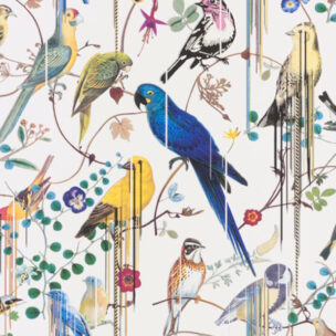 Histoires Naturelles Wallpaper - BIRDS SINFONIA PERCE NEIGE