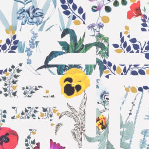 Histoires Naturelles Wallpaper - PRIMAVERA LABYRINTHUM PERCE NEIGE