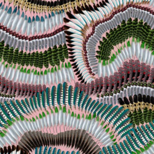 L'odyssée Wallpapers - PRÊTE-MOI TA PLUME! BOURGEON