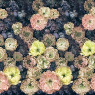 Scenes and Murals Wallpaper - LE POEME DE FLEURS MIDNIGHT