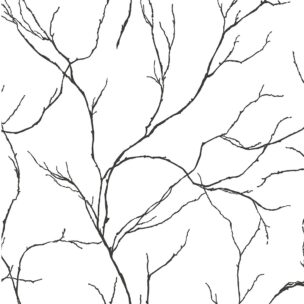 DELICATE BRANCHES BLACK